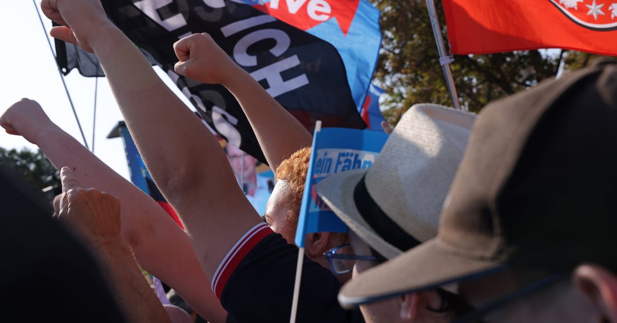 AfD ul german dizolva aripa tanara extremista pentru evitarea interdictiei