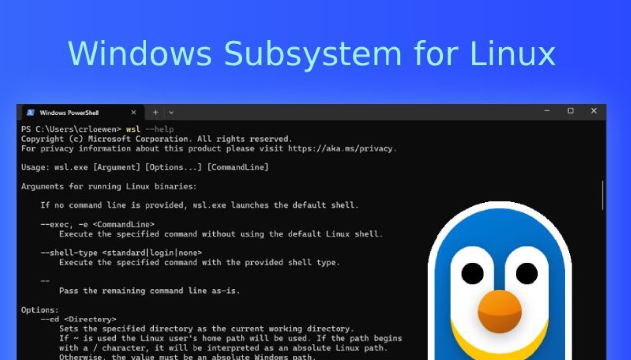 Microsoft Codul sursa pentru Linux in Windows publicat