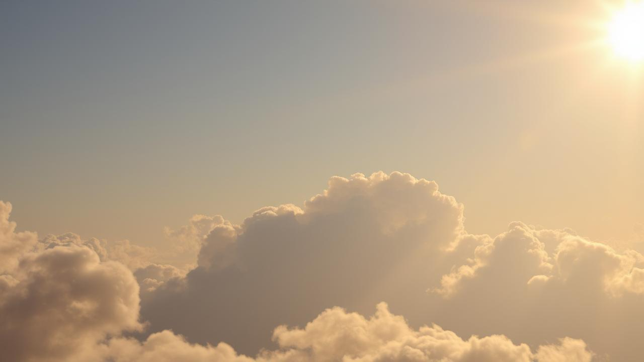 Cum ne influentiaza caldura excesiva inima si creierul