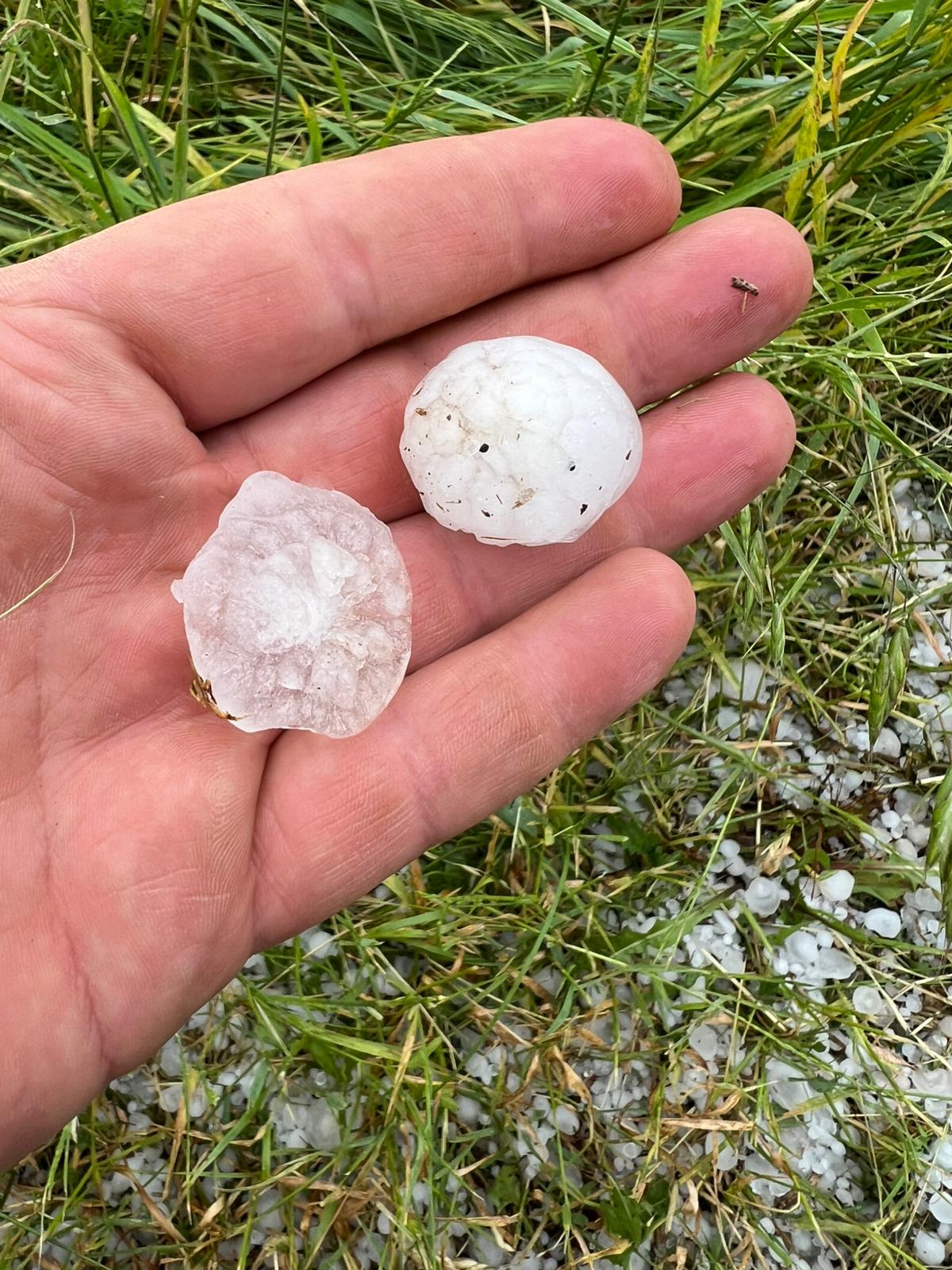 Grindina furtunile si inghetul au facut daune record