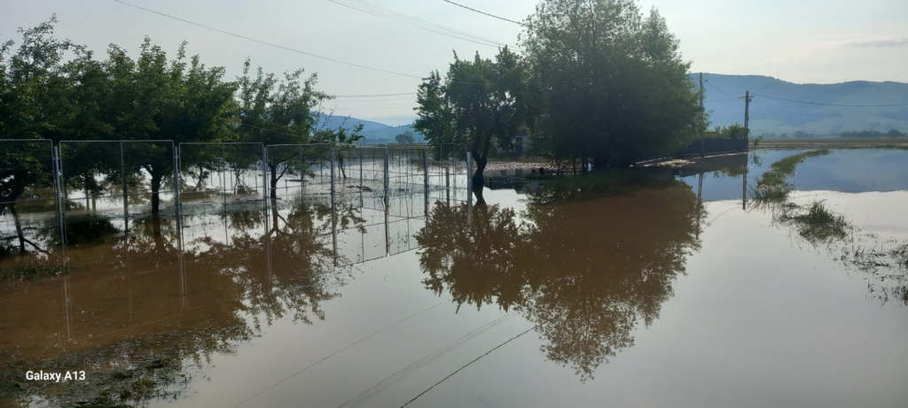 Solidaritate cu natura ISU Cluj evacuaze apa FOTOVIDEO