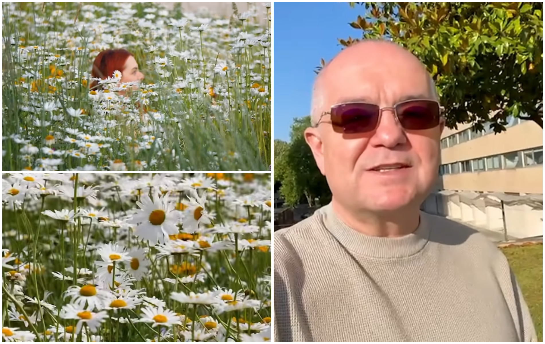 VIDEO De ce nu a fost cosita iarba de pe Somes