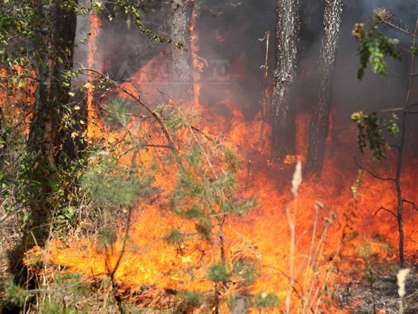Atenzionare de calatorie incendii de vegetatie in Muntenegru
