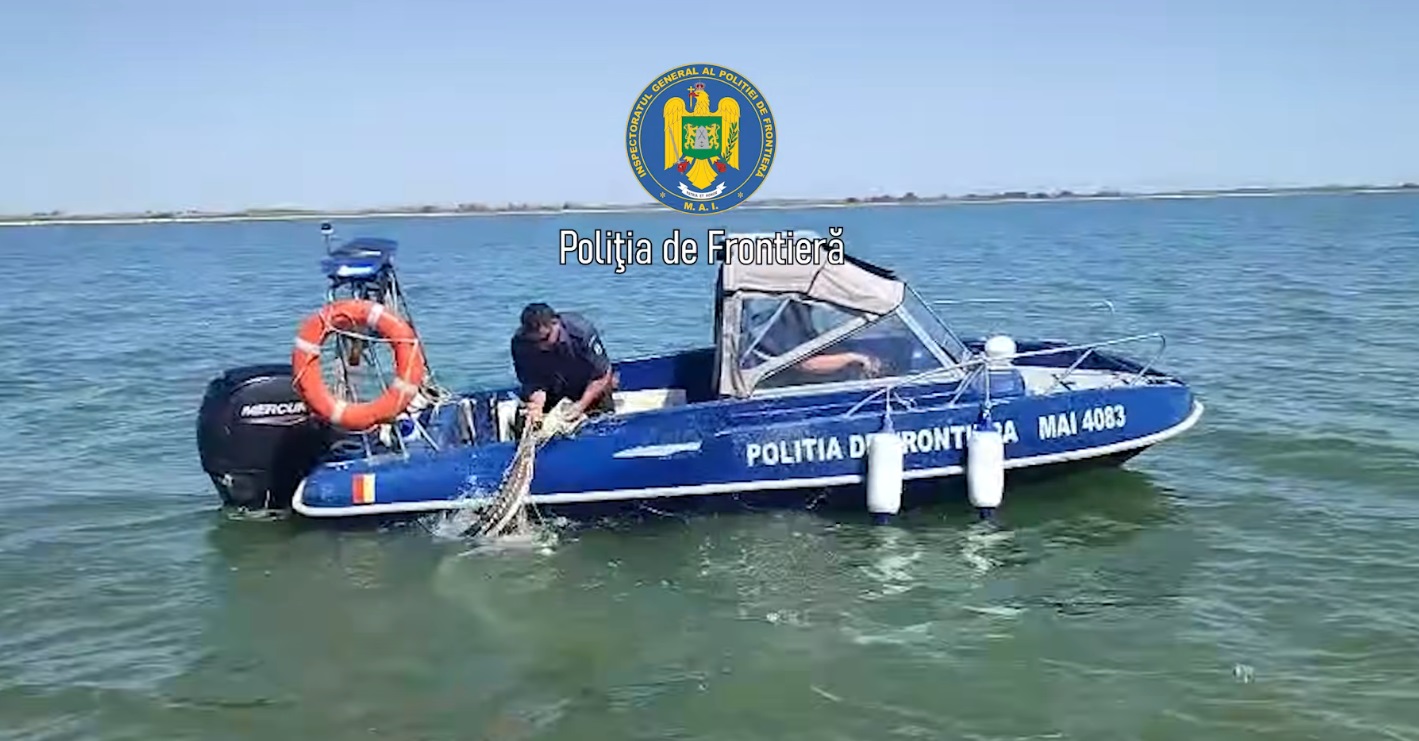 Braconaj in Marea Neagra Delfin si opt sturioni salvati