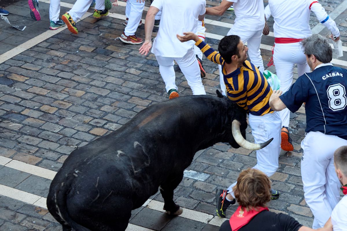 Calugarul budist a alergat cu tauri la San Fermin