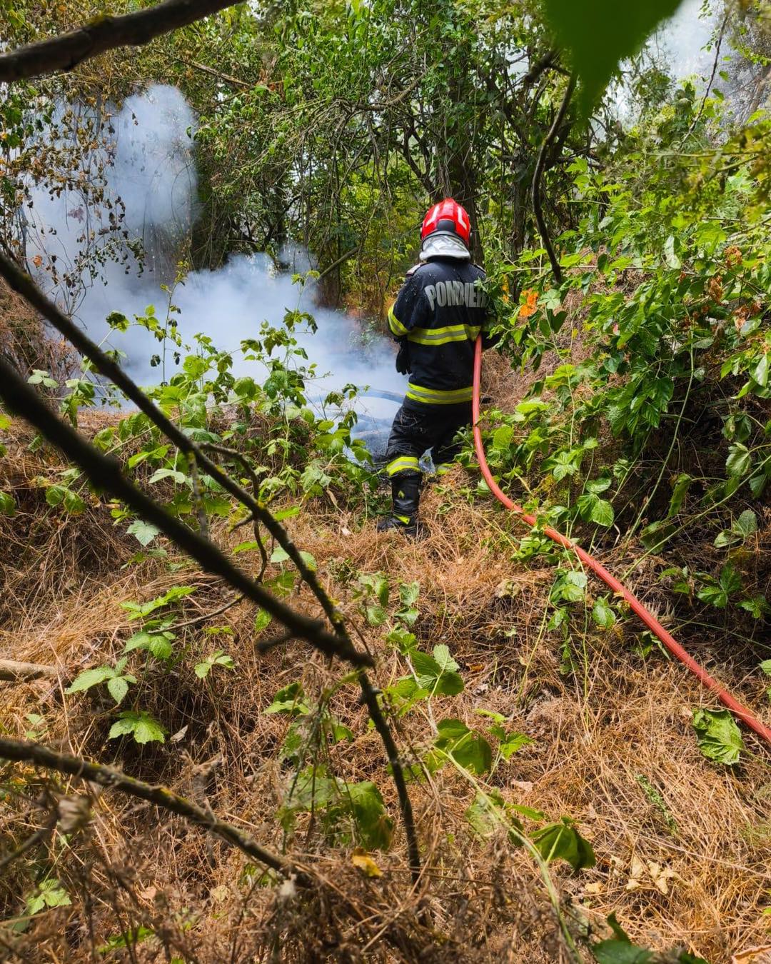 Incendiul de la Chilia a reizbucnit pompierii mobilizati
