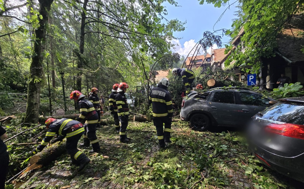 Pagube si copaci cazuti 34 de localitati afectate