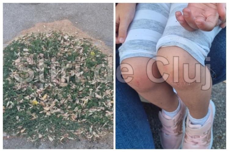 Primaria Cluj Napoca raspunde la incidentul fetitei