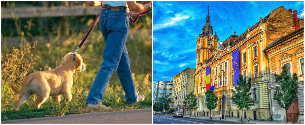 Proiect inedit la Cluj Napoca Animalele de companie au acces