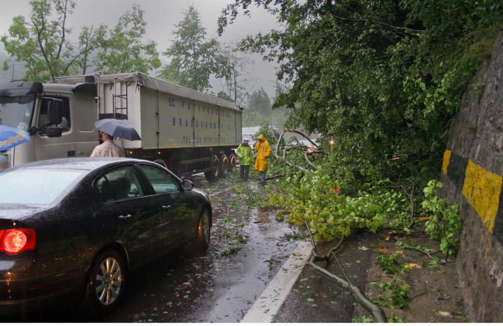 Trafic oprit partial pe DN1 la Sinaia din cauza copacilor cazuti