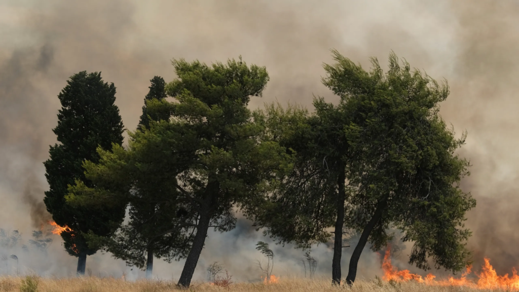 Turcia si Albania se lupta cu incendii dupa canicula