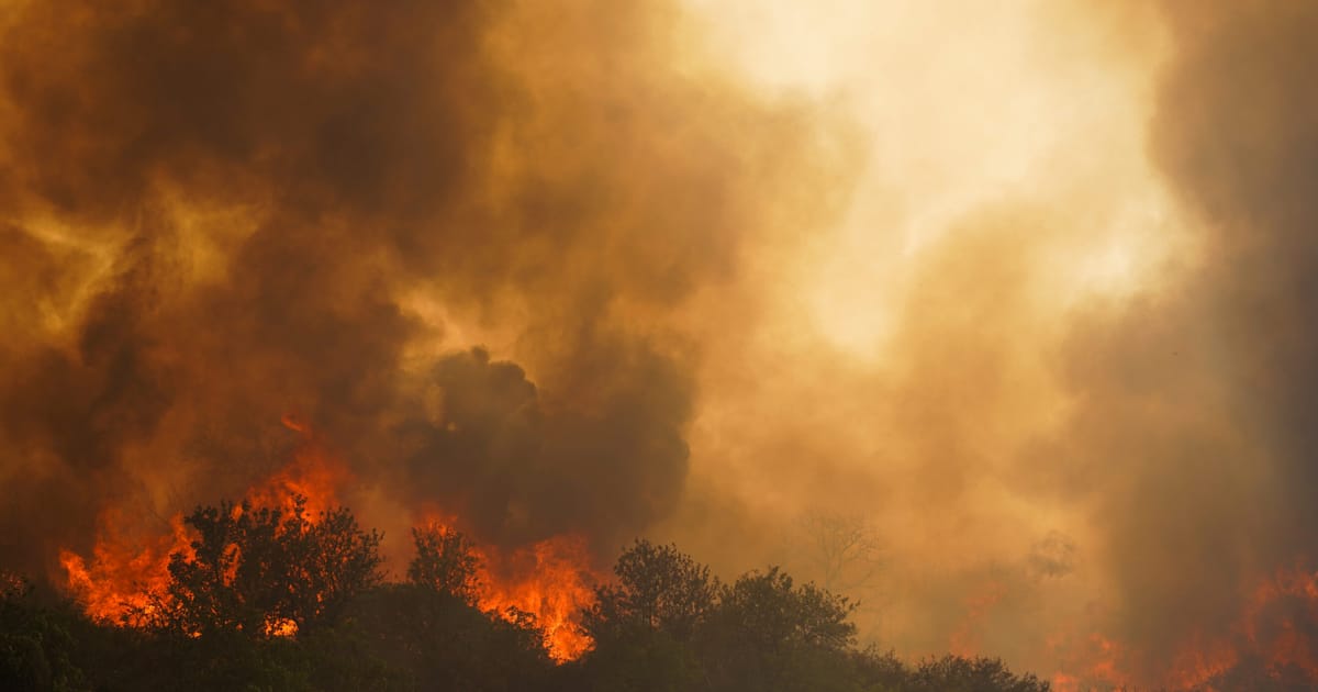 Fanii confuzi ai politicii hranesc incendiile din sudul Europei