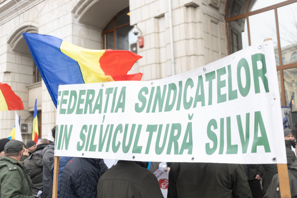 Federatia SILVA Ministerul Justitiei cere refacerea proiectului Romsilva