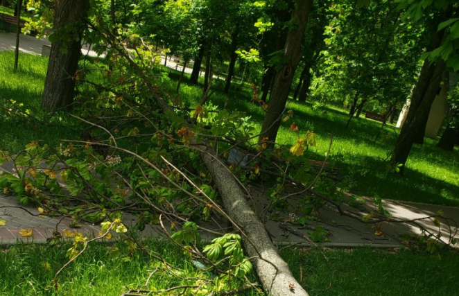 Incident grav langa parc pentru caini din Cluj