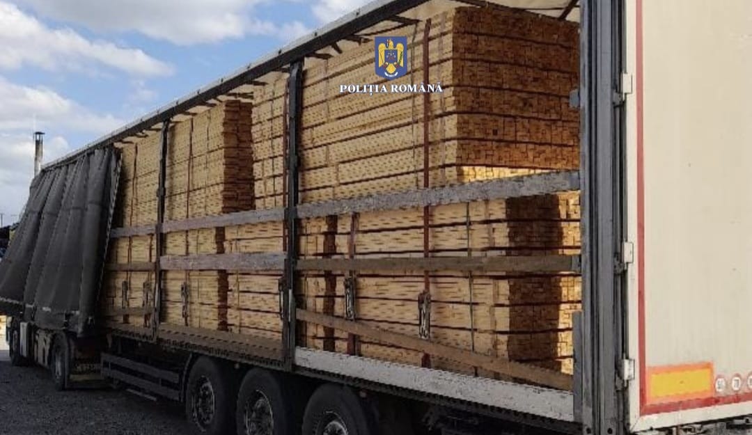 transport ilegal de cherestea descoperit in cluj