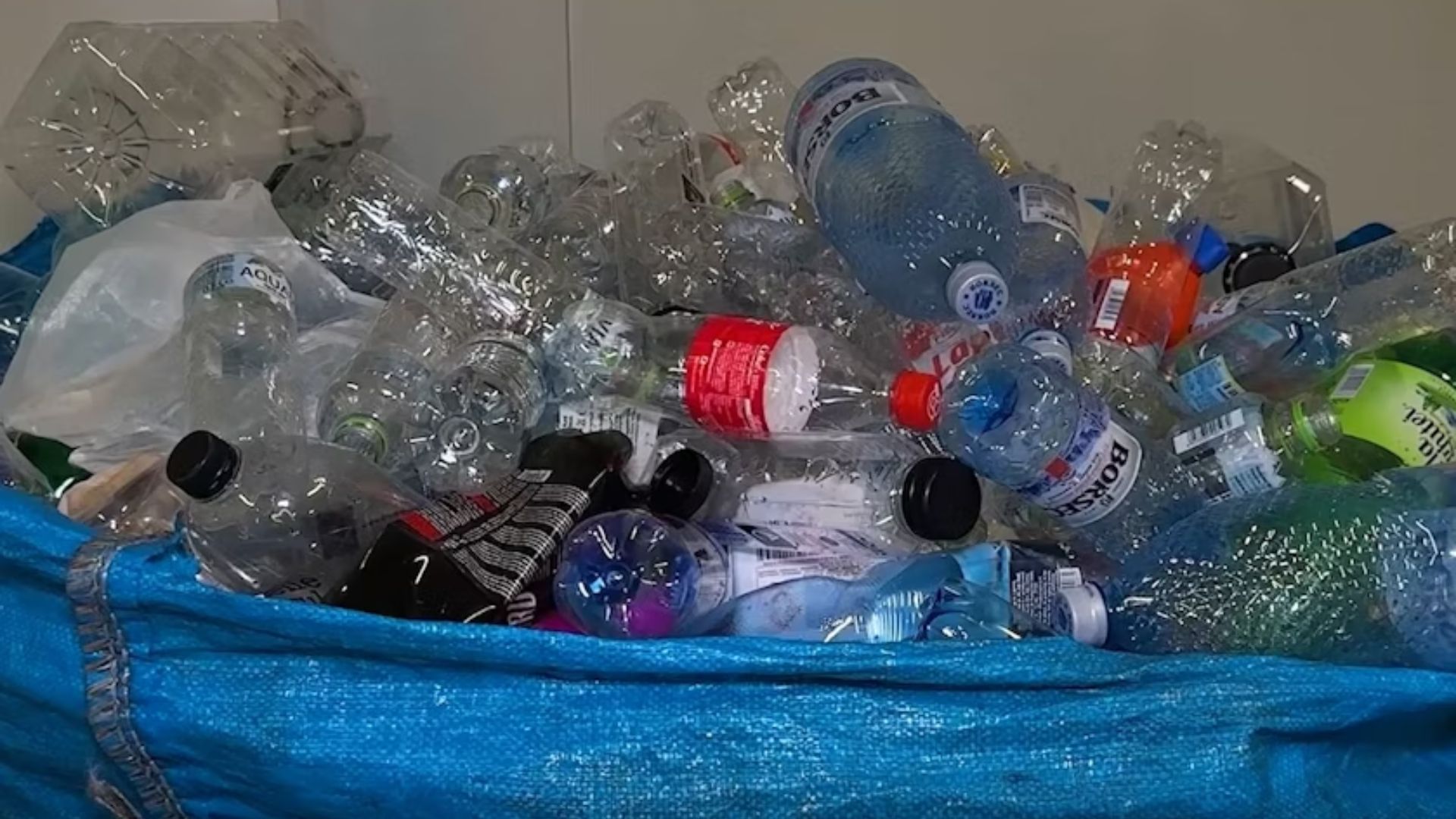 Ai grija ce lasii in curte Cuplu din Cluj fara bidoane