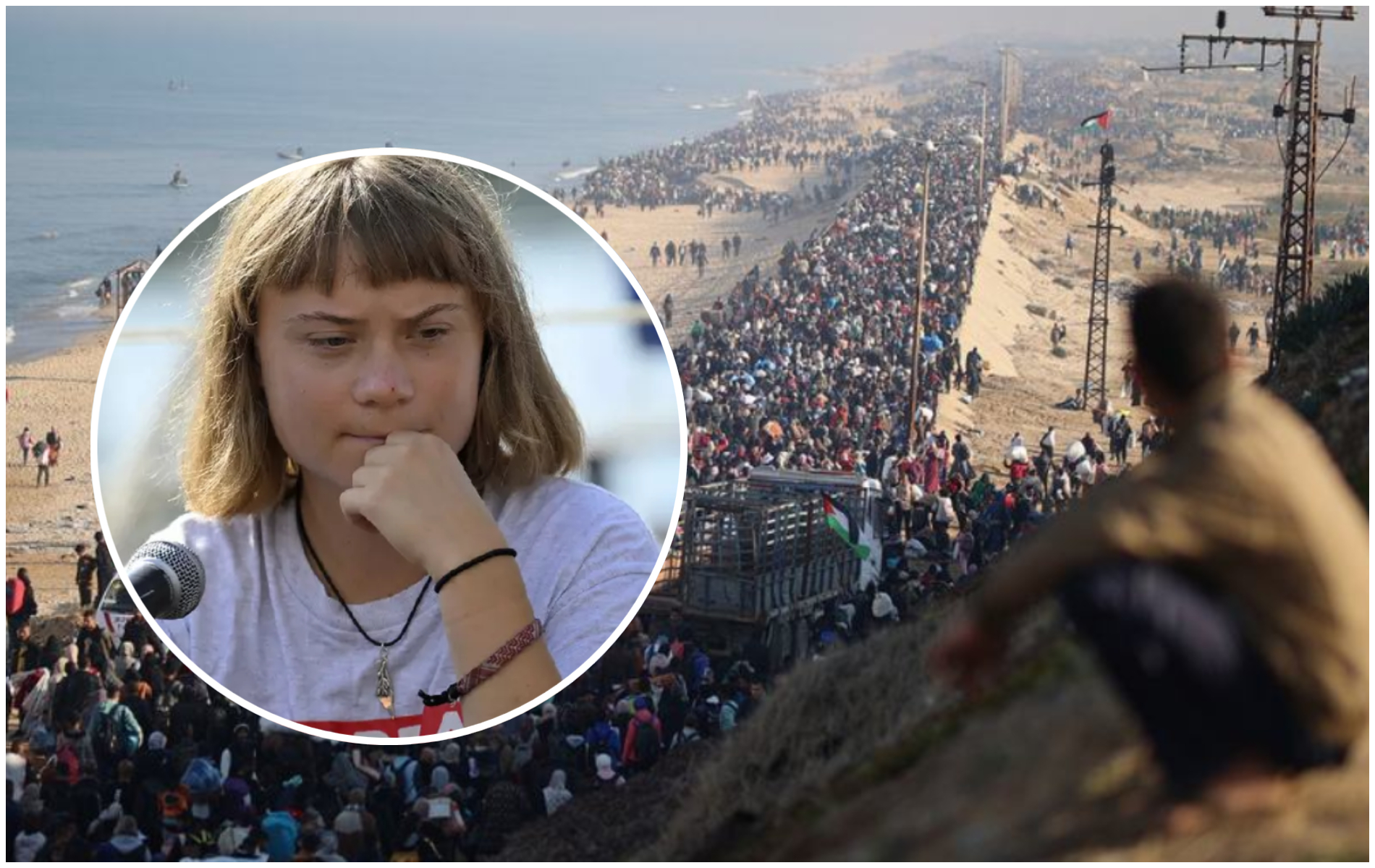 Ajutor din Cluj pentru Greta Thunberg Activistul o vrea insotita