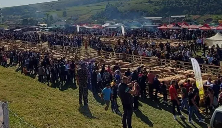 Cluj eveniment anulat din cauza pestei reprogramat