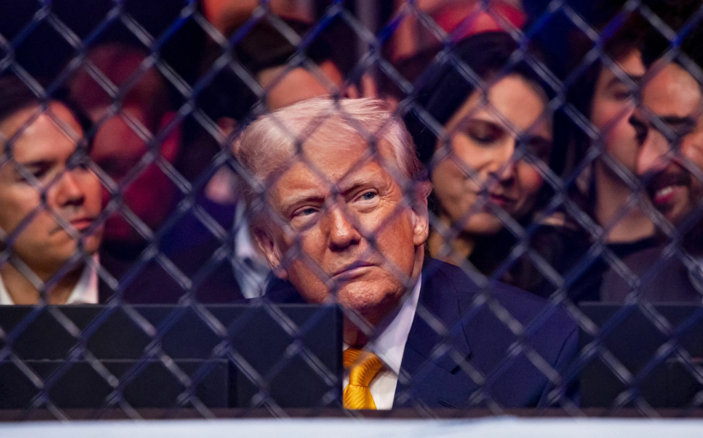 Democratii sustin ca Trump control eaza Rusia din umbra
