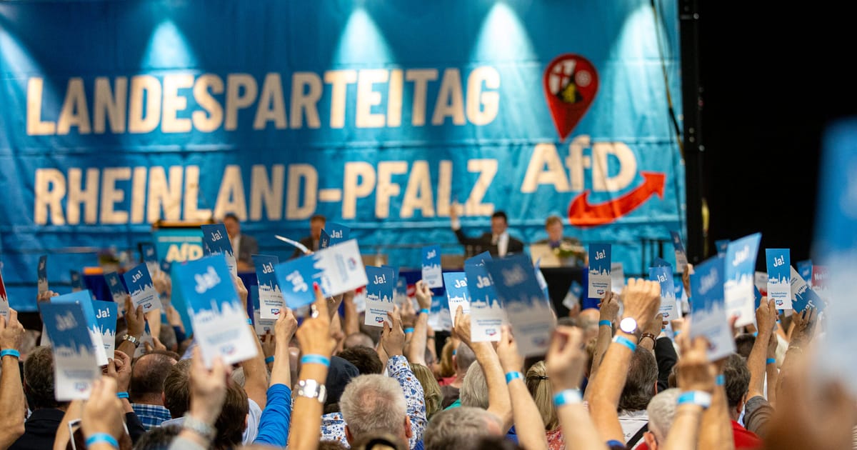Extrema dreapta obtine o baza mai puternica in Germania de Vest