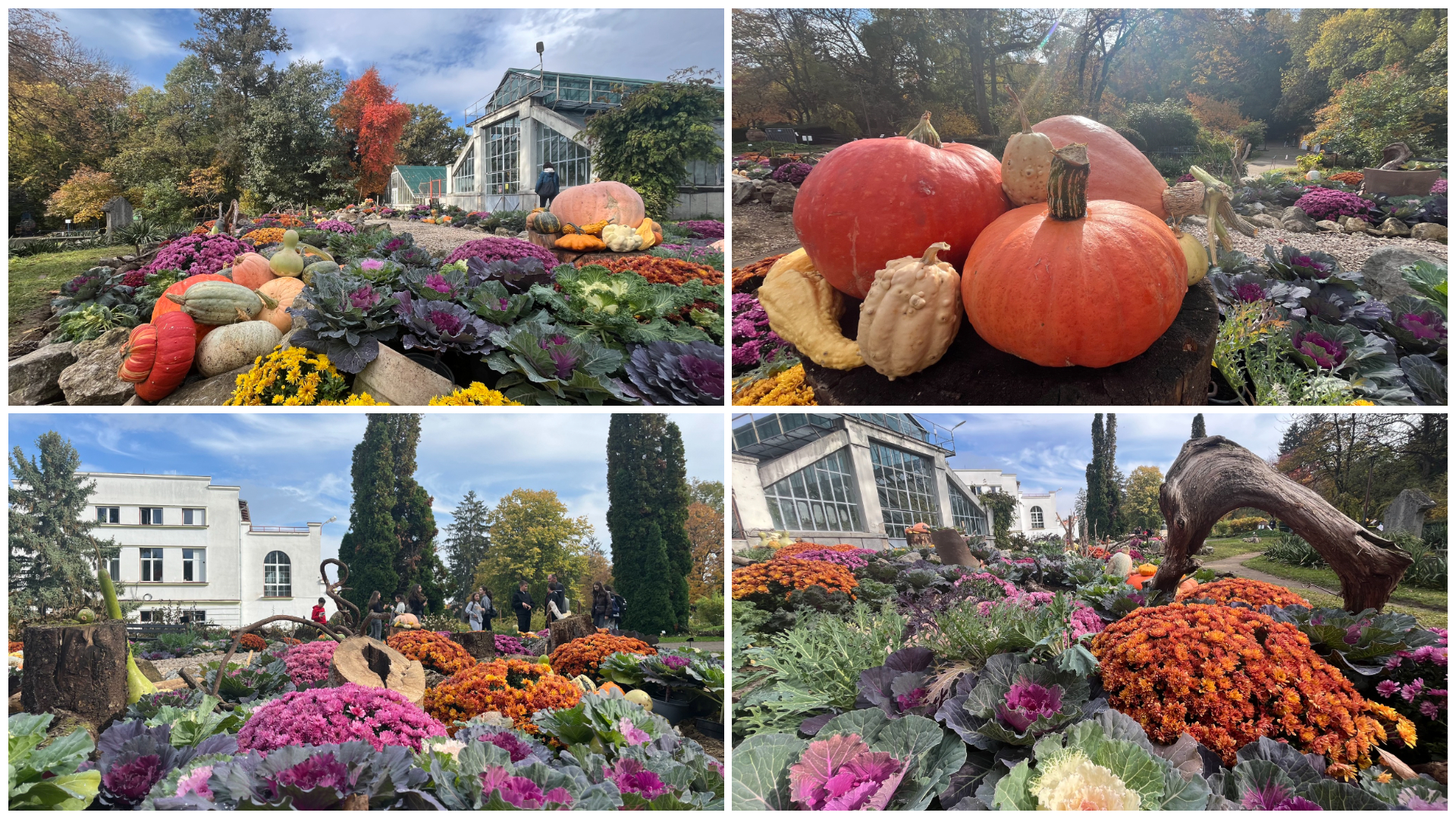 Gradina Botanica din Cluj Napoca te asteapta