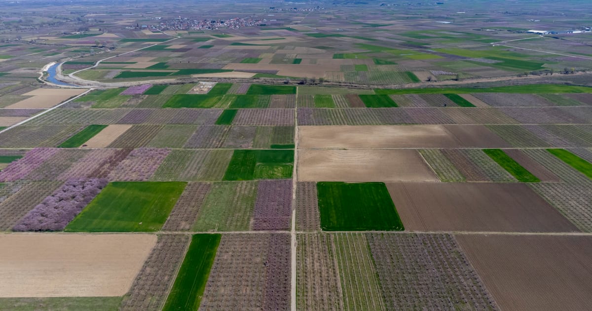 Zeci de persoane arestate in scandalul agricol din Grecia