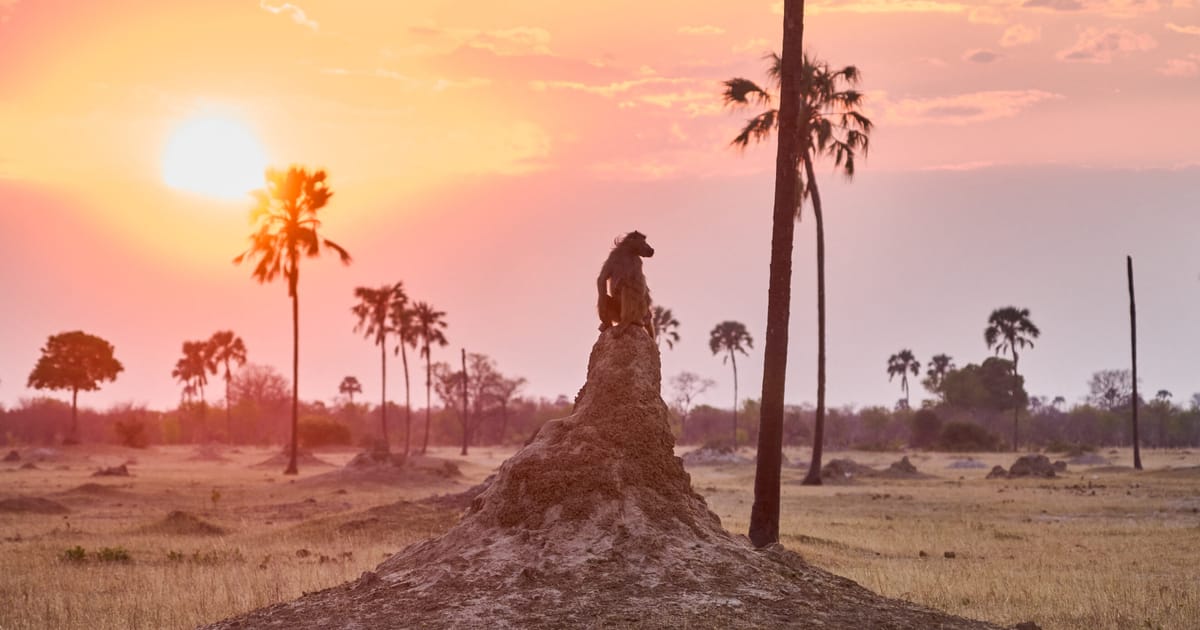 Tarile UE accepta obiectivul climatic 2040 reduse si tinta COP30