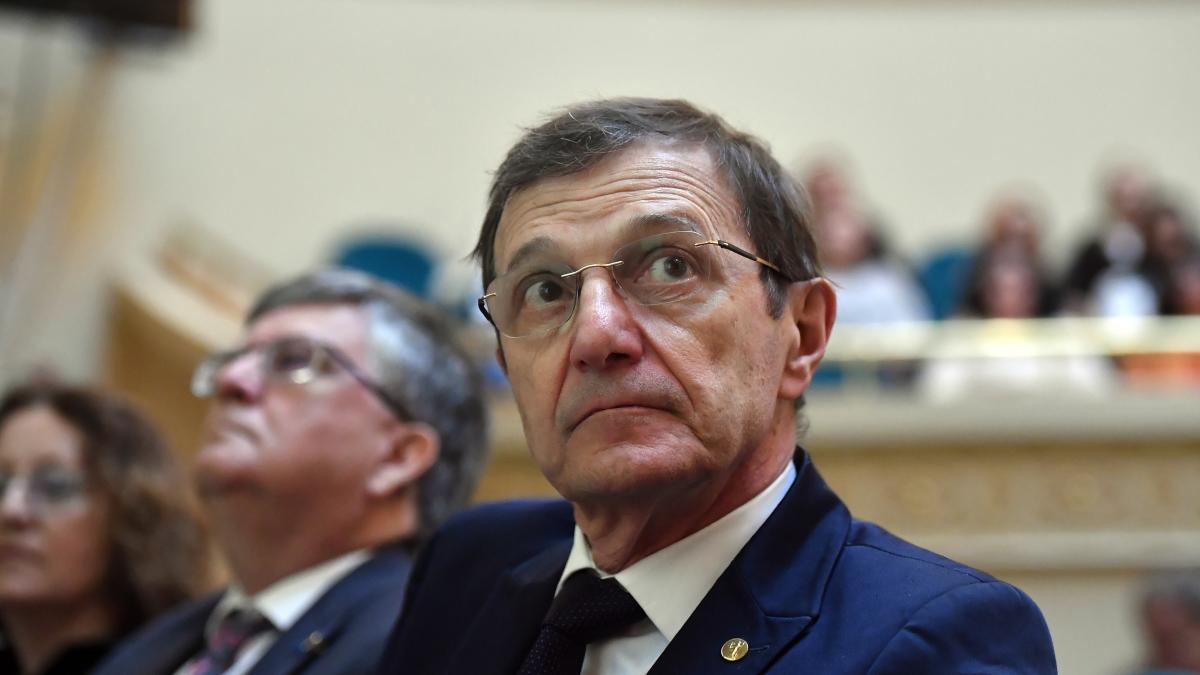Ioan Aurel Pop sugereaza predarea cronica a scriitorilor romani