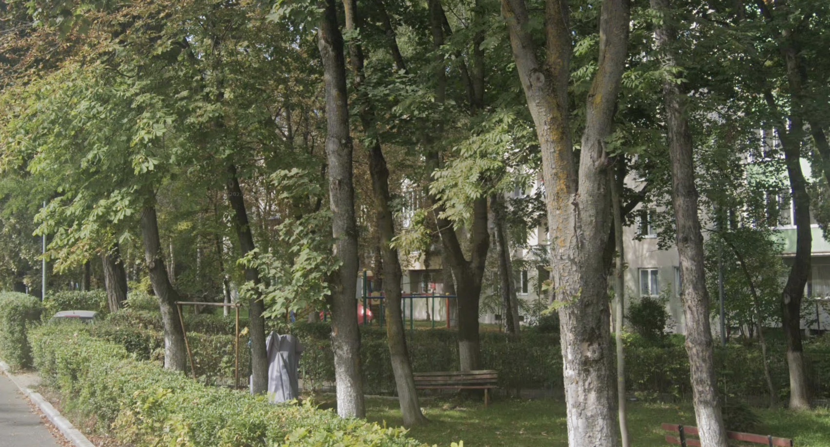 Momente de groaza pentru o tanara din Cluj