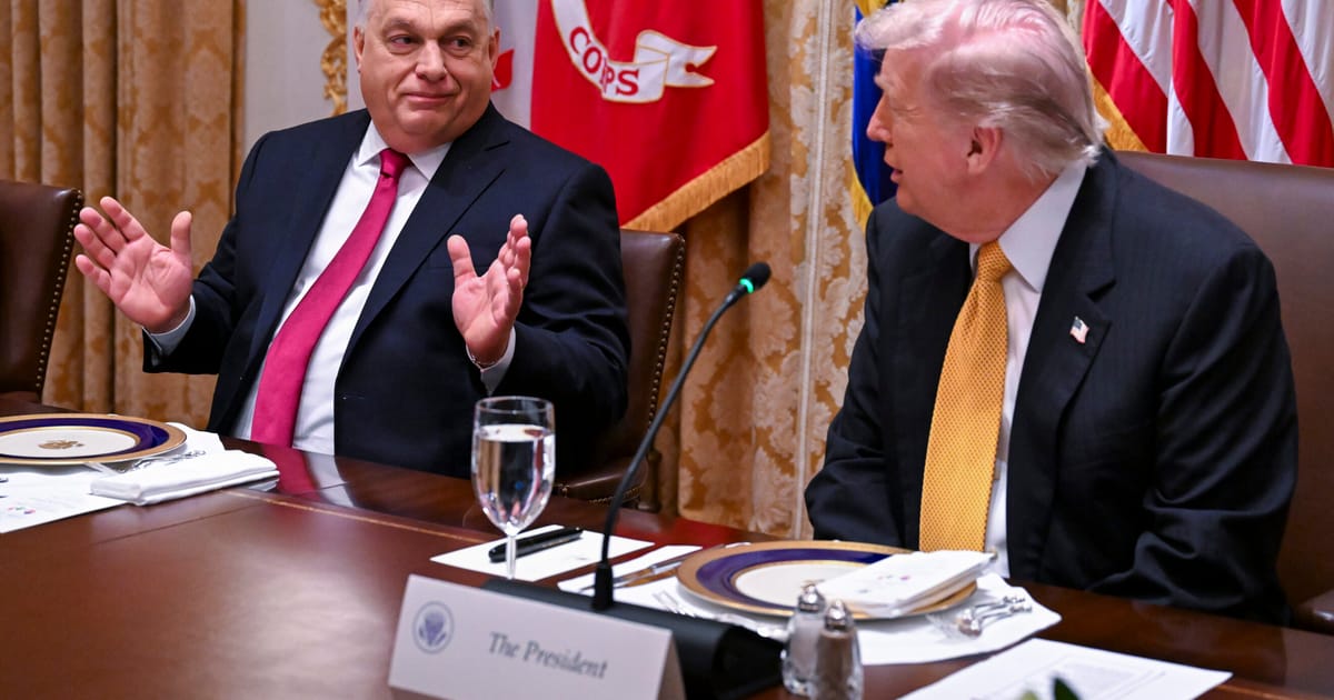 Trump neaga ca ar fi promis ajutor financiar lui Orban