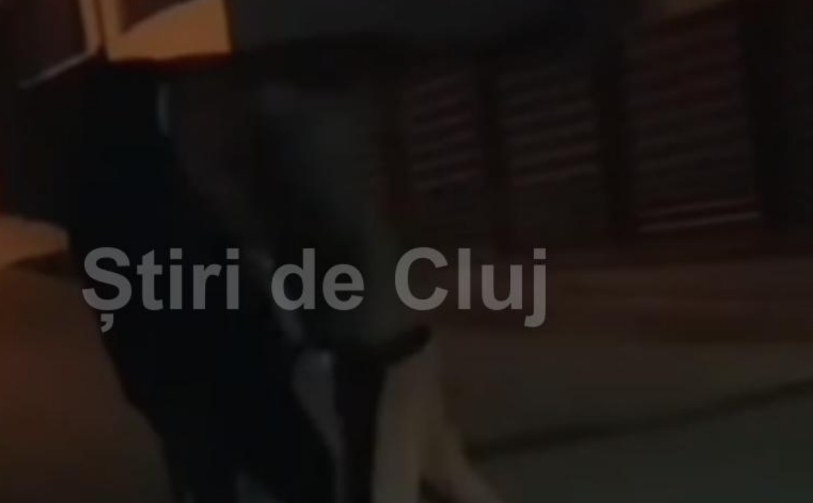 VIDEO Ancheta a Politei Cluj in cazul unui adolescent agresat