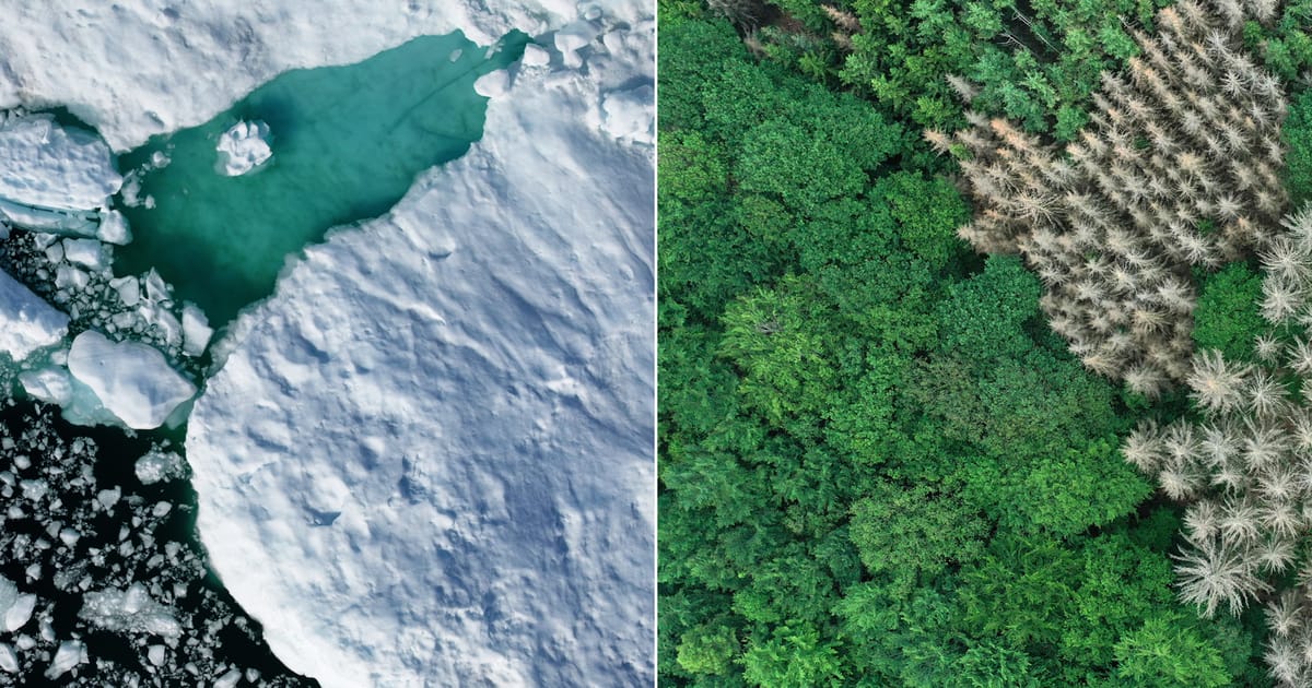 Groenlanda sau Islanda Stii care este distinctia intre ele
