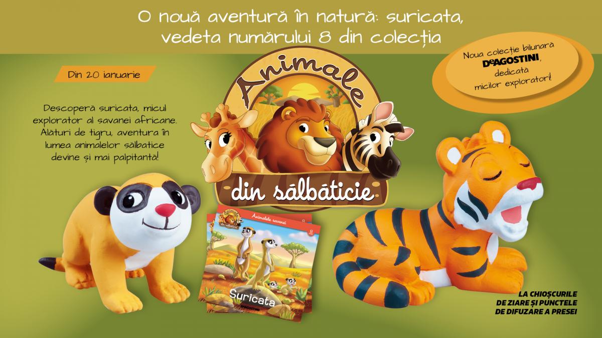 O noua aventura in natura suricata vedeta editiei cu numarul 8 din seria Animale salbatice