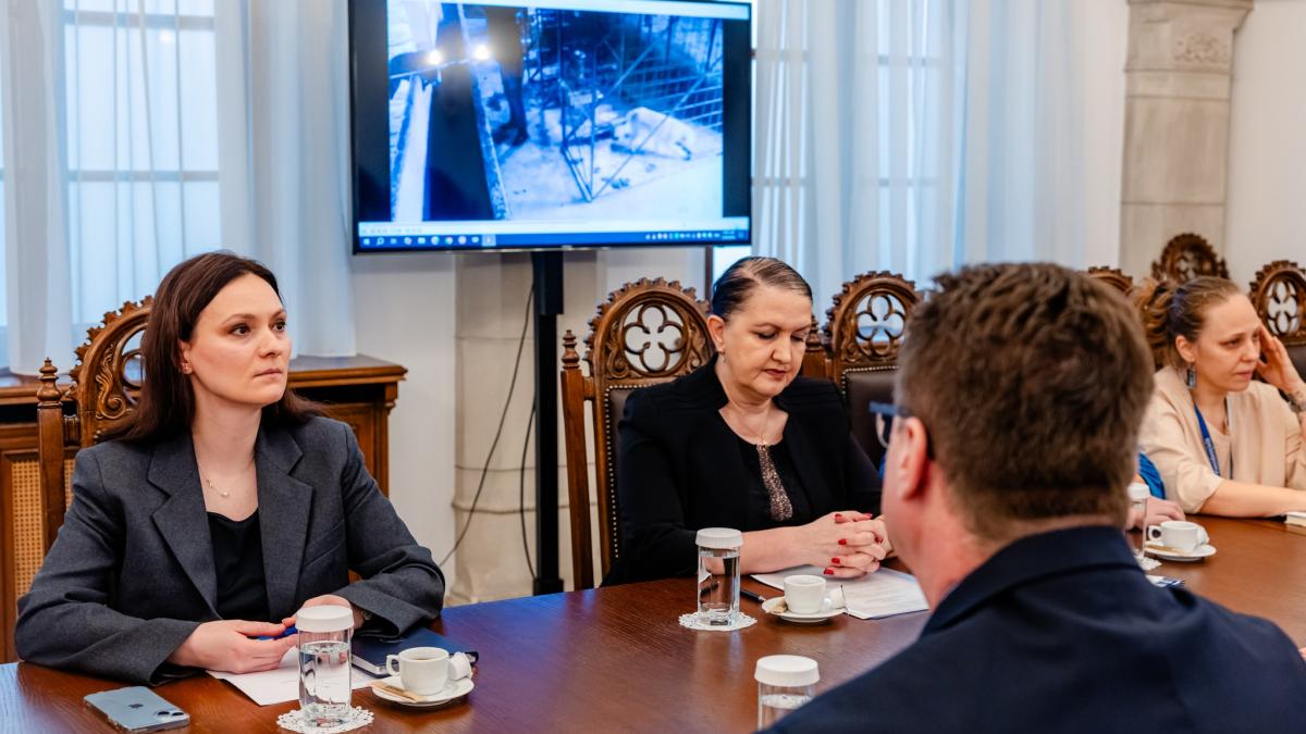 Ororile de la Suraia Administratia Presidentiala ia masuri in legatura cu uciderea cainilor din