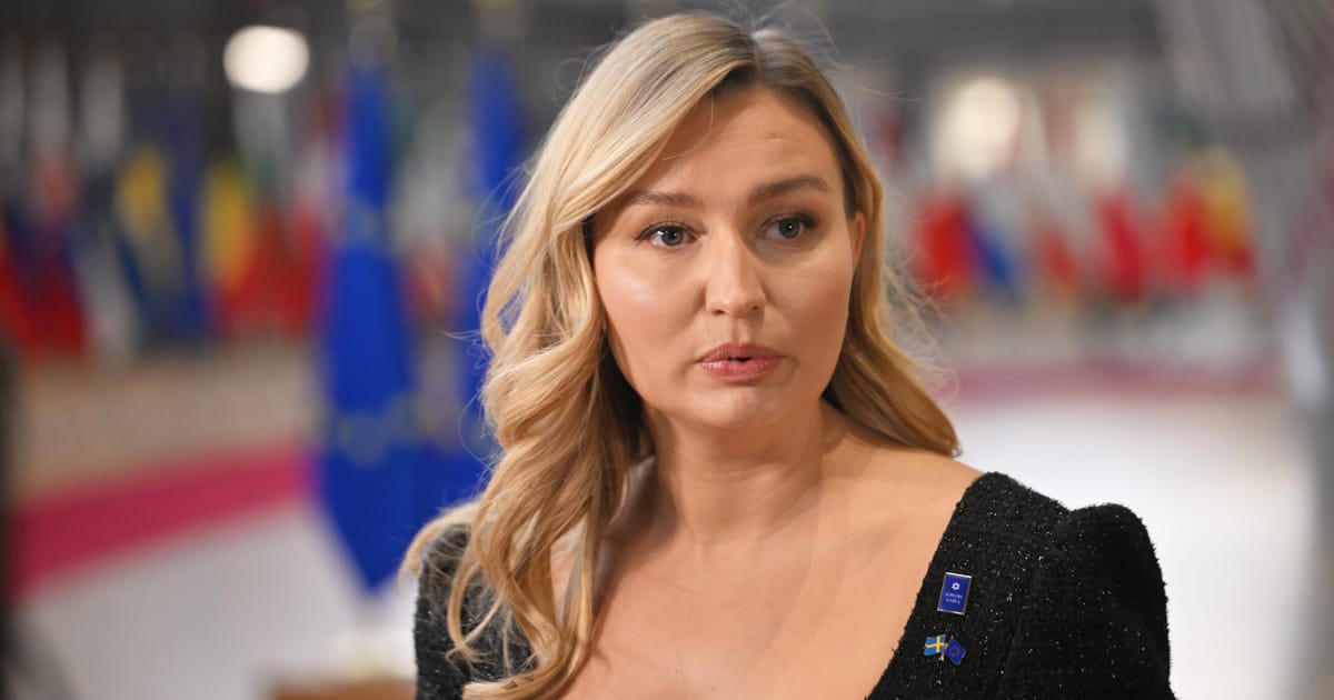 Vicepremierul suedex Liderii europeni trebuie sa devina mai angajati si sa nu mai astepte ajutorul de la Bruxelles si Statele Unite