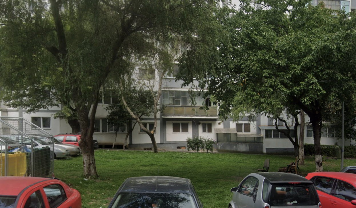 accesul cainilor intr un parc din cluj se cere modificarea regulamentului unui parc unde animalele nu sunt acceptate poate chiar un loc special amenajat