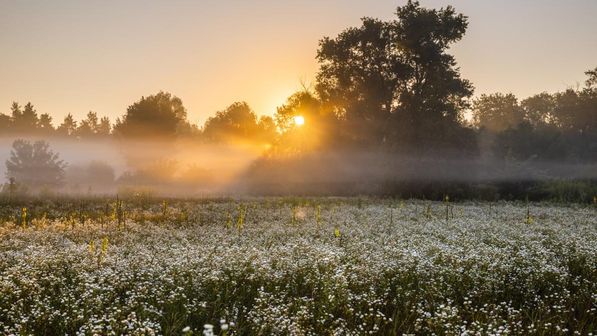 ANM preconizeaza temperaturi de 18 grade Celsius si cer senin in intreaga tara pentru saptamana viitoare