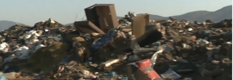Autoritatile bulgare investigheaza un posibil import ilegal de animale din Romania si descoperirea unui abator clandestin in zona Ihtiman