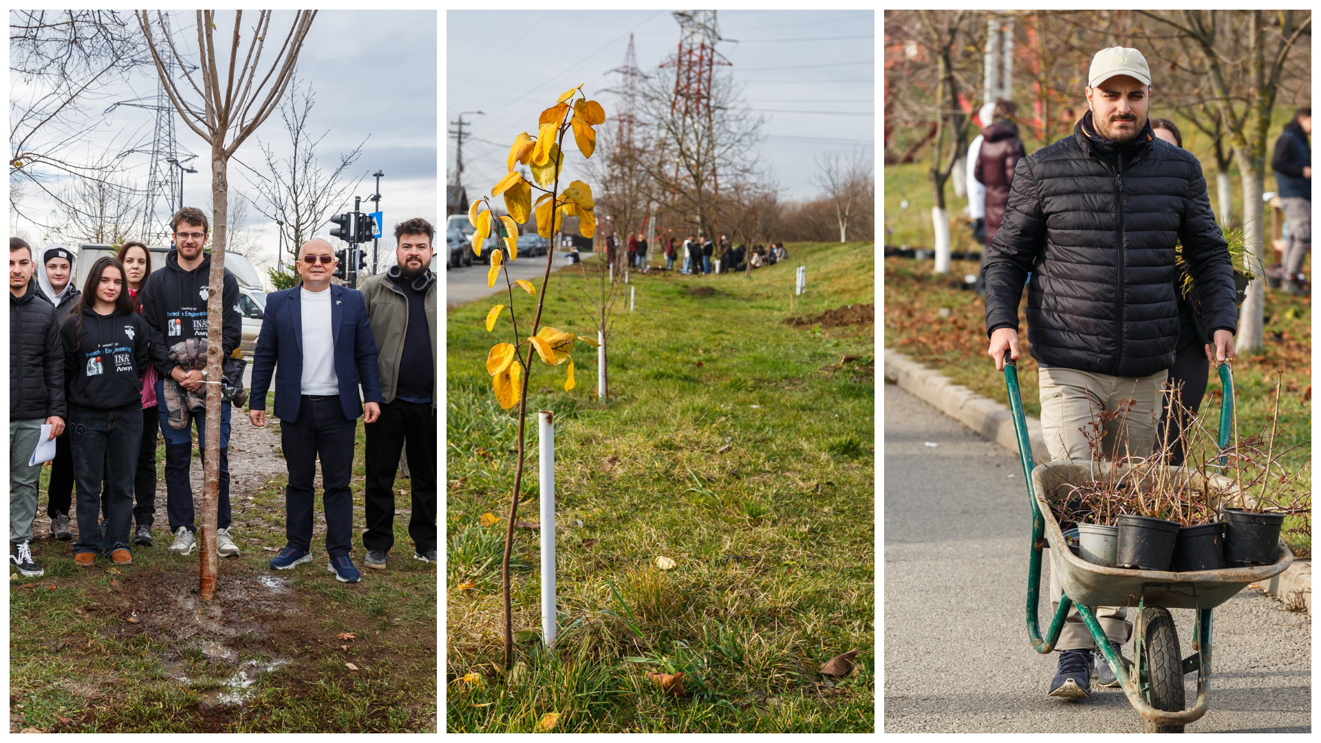 Cluj Napoca devine mai verde Emil Boc invita comunitatea sa participe la actiuni de plantare in cartierele Iris si Someseni