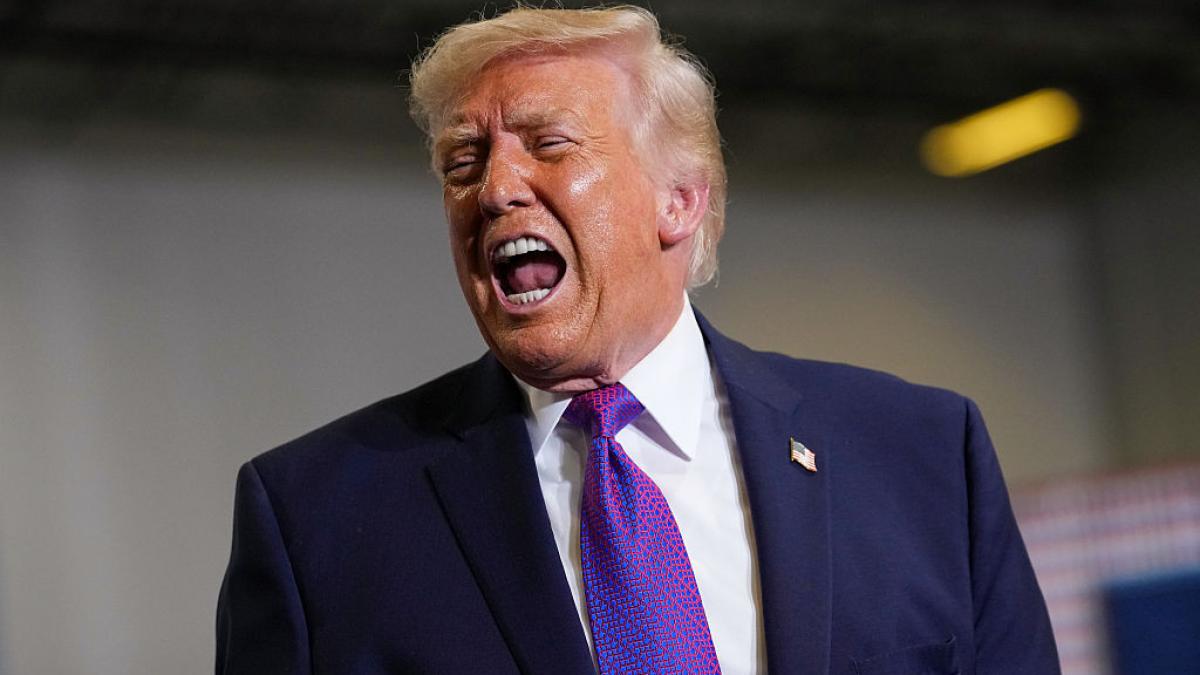 Donald Trump critica NATO intr un mod fara precedent Sunt niste fricosi O tigra de hartie