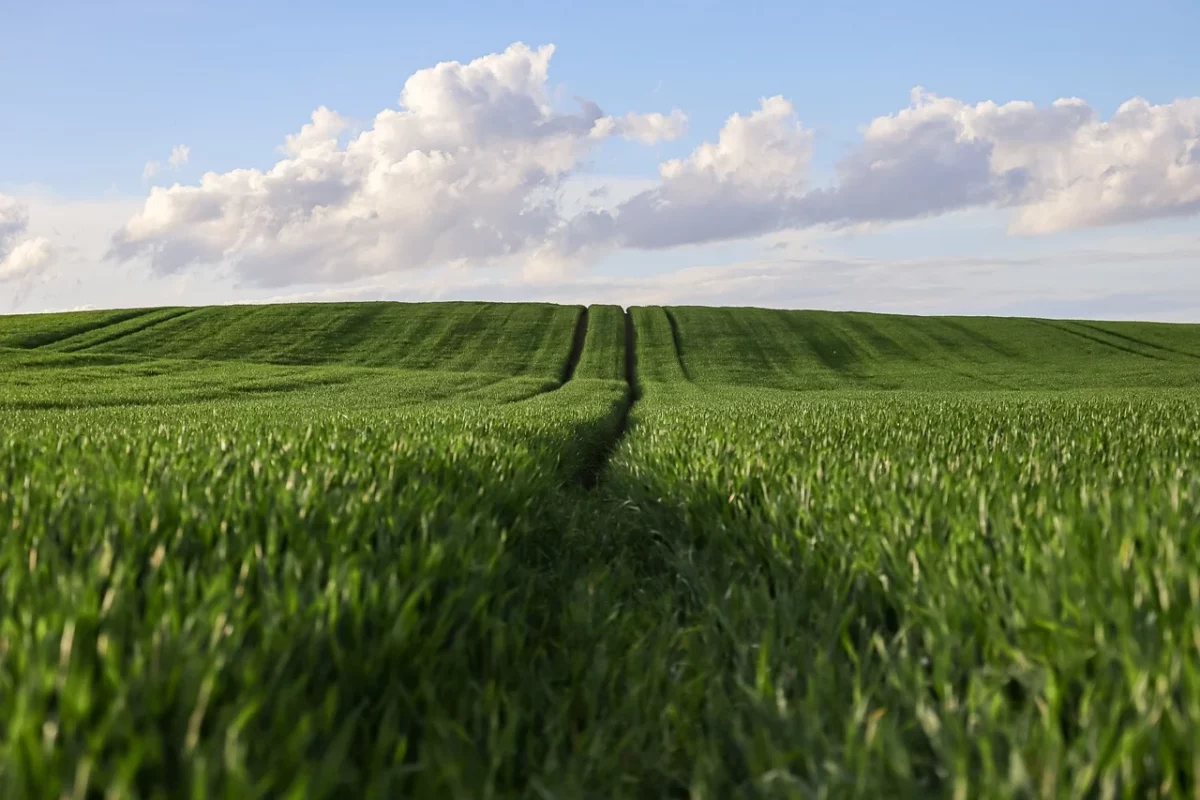 Platforma de sustinere a femeilor in agricultura lansata de Comisia Europeana