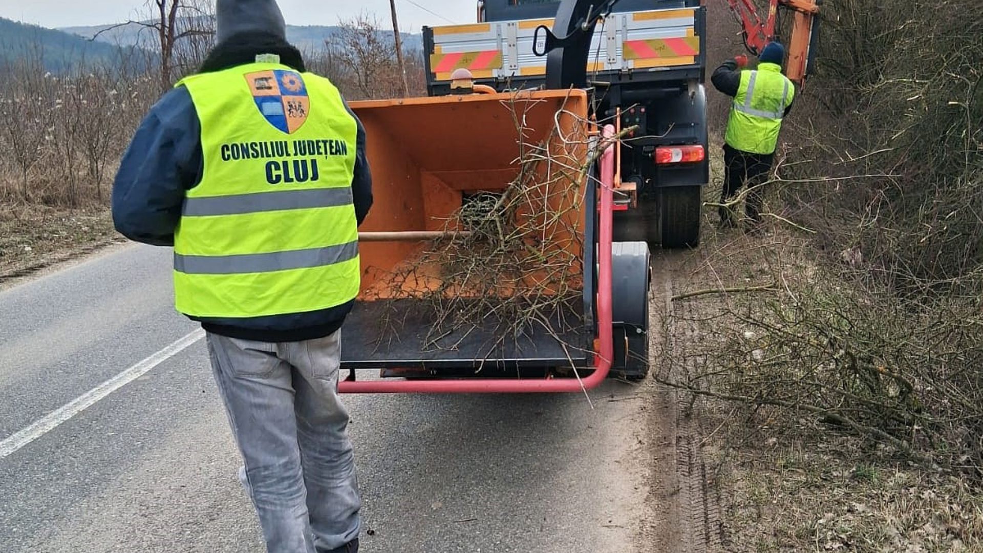 Siguranta crescutapentru soferi in judetul Cluj Consiliul Judetean a inceput taierea copacilor de pe marginile drumurilor