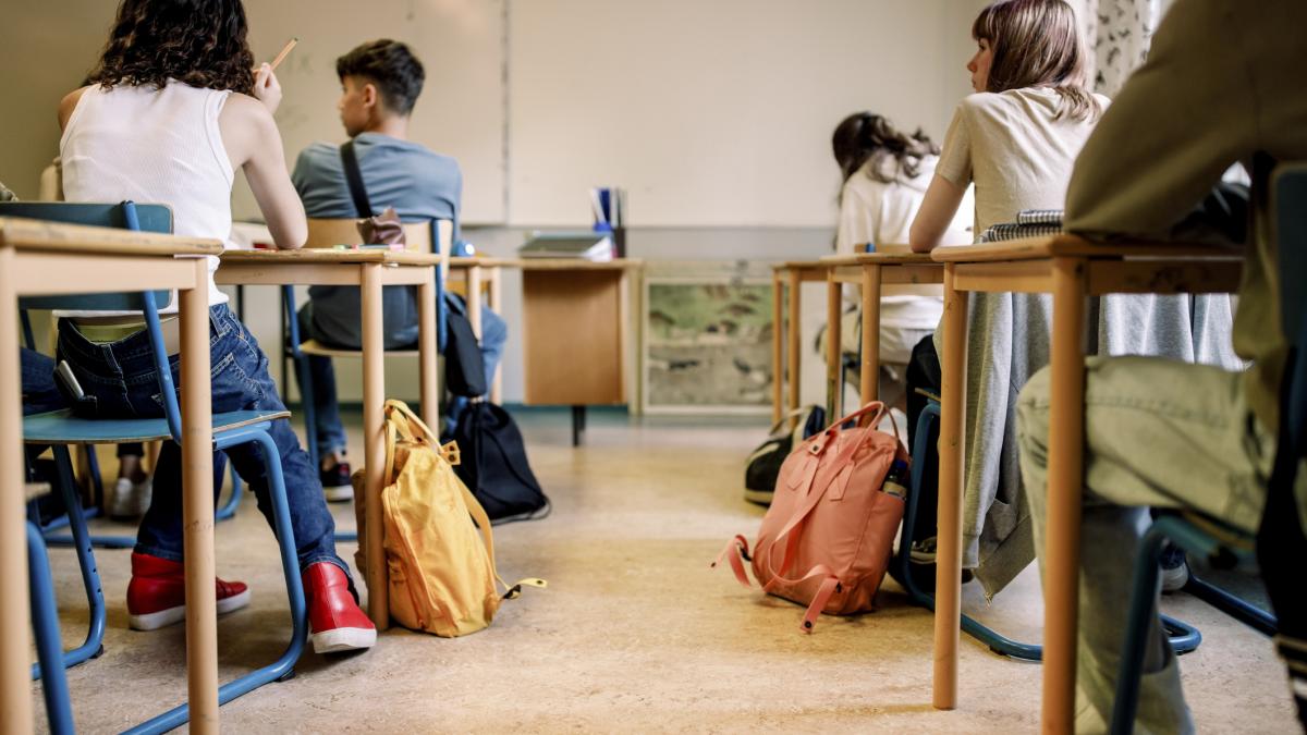 Simulari pentru Evaluarea Nationala si Bacalaureat 2026 Sindicatele afirma ca profesorii se opun