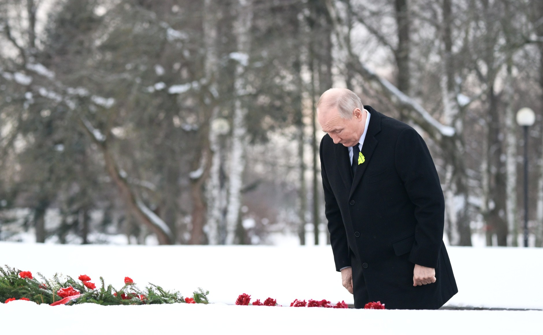 Umbra lui Putin acum observator electoral in Ungaria