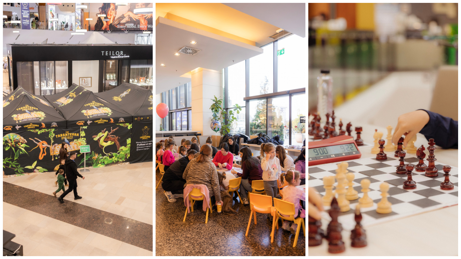 Weekend plin de distractie si creativitate la Iulius Mall Cluj Copiii joaca sah creeaza buchete florale si descopera tarantule si reptile vii