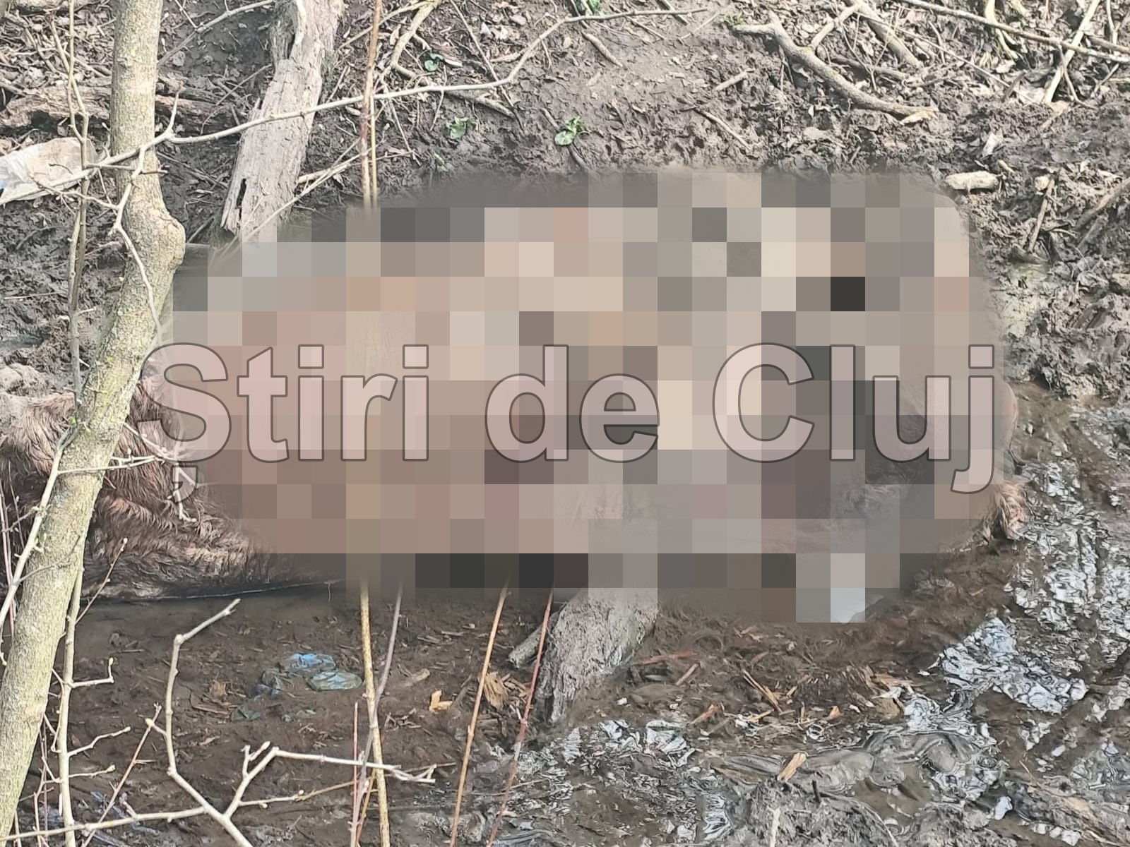cadavru in descompunere gasit dintr un parau din floresti cluj este un focar de infectie incredibil cum poti sa faci asa ceva imagini cu un puternic impact emotional