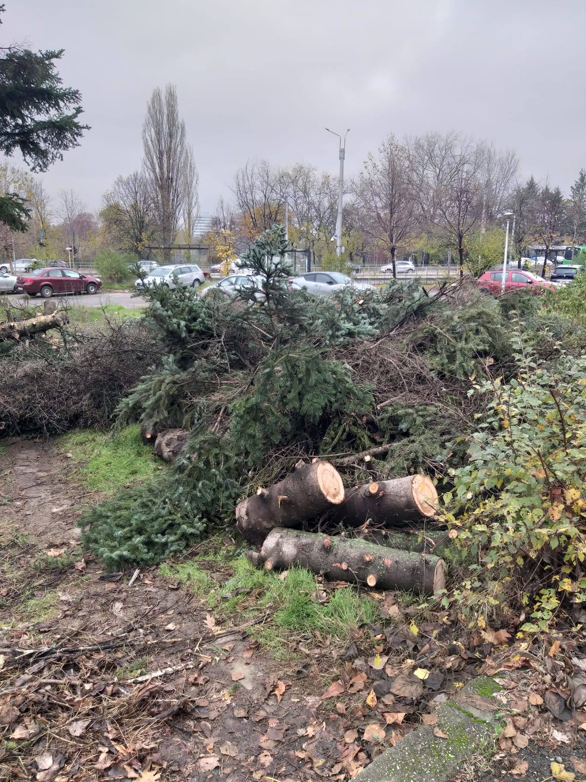 ciocanul pentru marcat arbori a fost inlocuit cu echipamente moderne