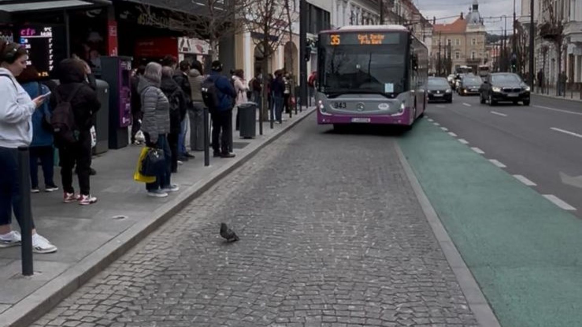 transport suplimentar in cluj dupa meciul cfr rapid autobuze tramvaie si troleibuze aditionale pentru suporteri