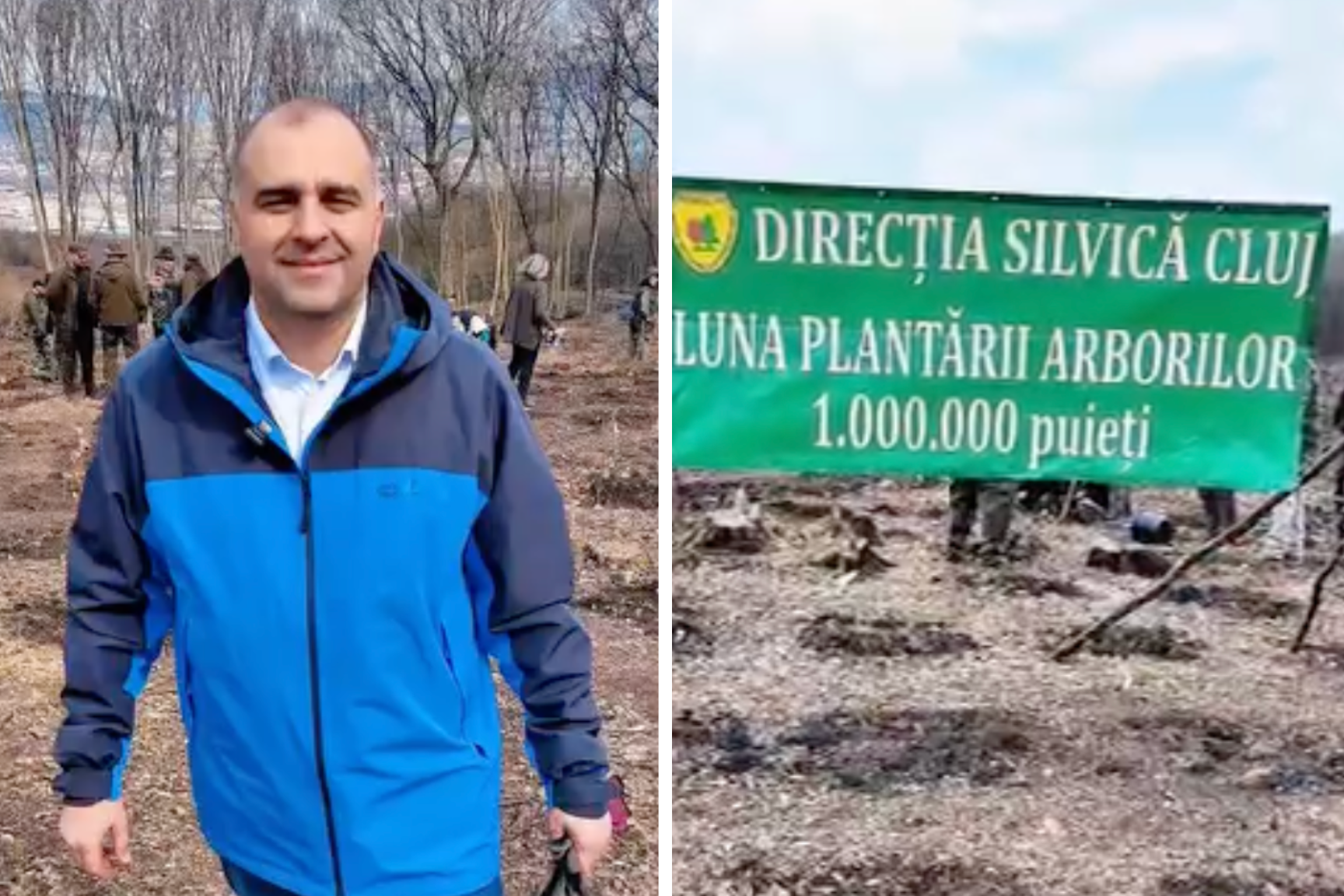 video 20000 de puiei plantai dintr o singur zi la cluj aciune importanta de reimpadurire la cheile baciului cine a participat i cum te poi implica