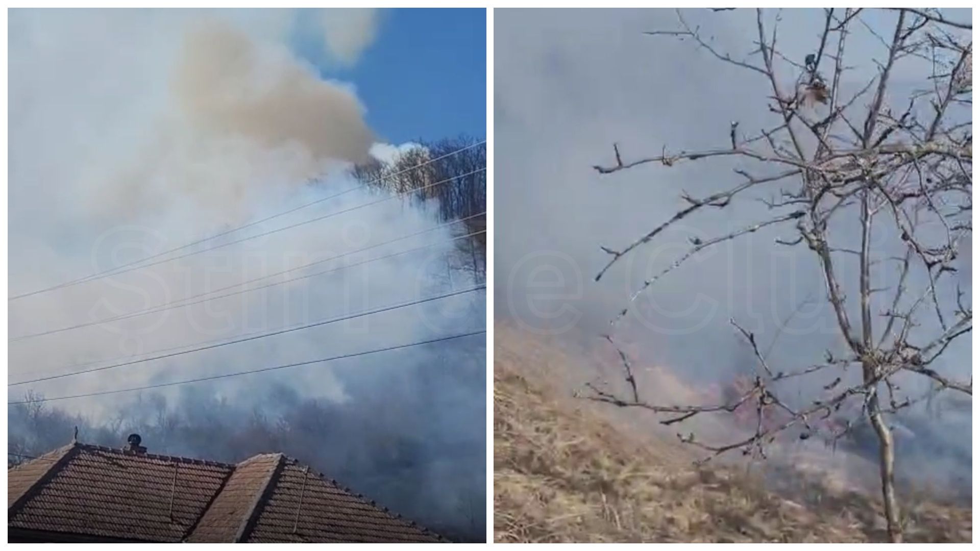 video inconstienta totala a dat foc pentru a si arde gunoiul si a provocat un incendiu in padurea din cluj de groaza